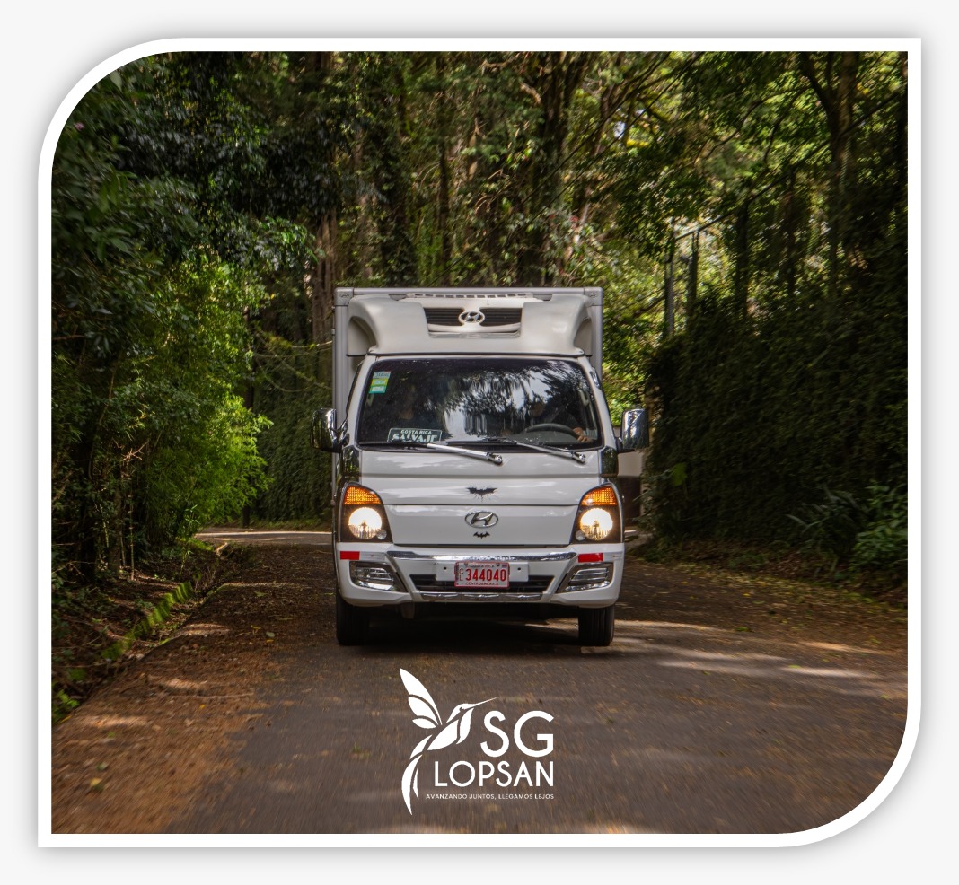 SG LOPSAN SRL - Galería 38